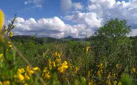  - Foto: CAMILLE LE CORRE